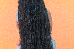 01-Braids-Knotless