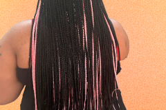 011-Braids-Individual