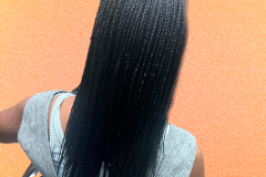 03-Braids-Individual