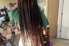 Single Braids