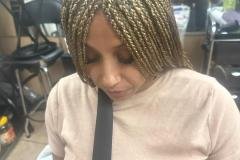Single Braids