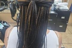 Single Braids
